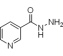 煙酸酰肼