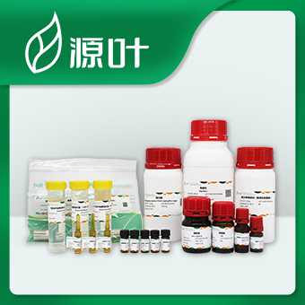 兩性霉素B溶液